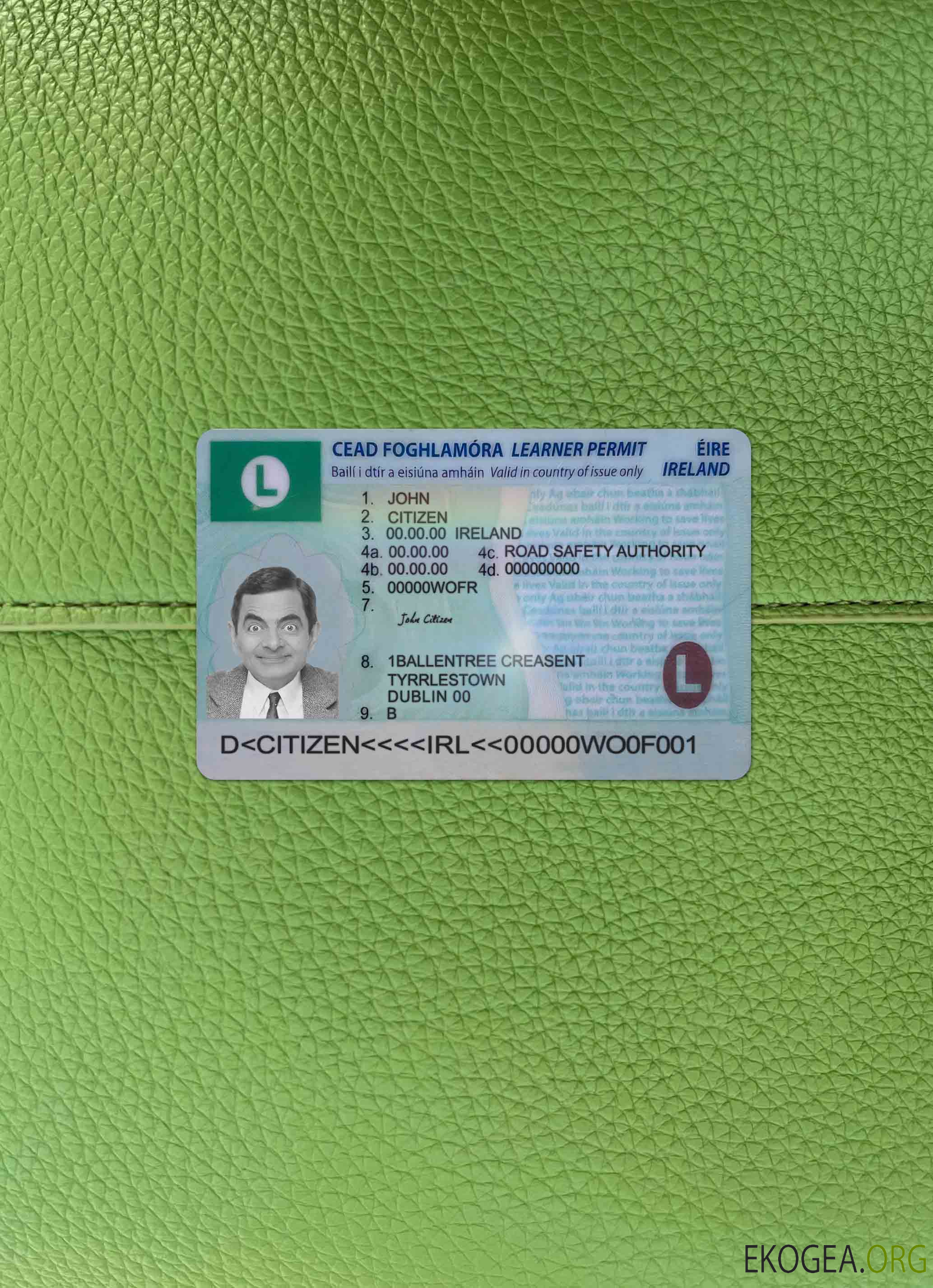 Permis de conduire irlandais (permis d'apprenti) 2022  présent photolook AVANT